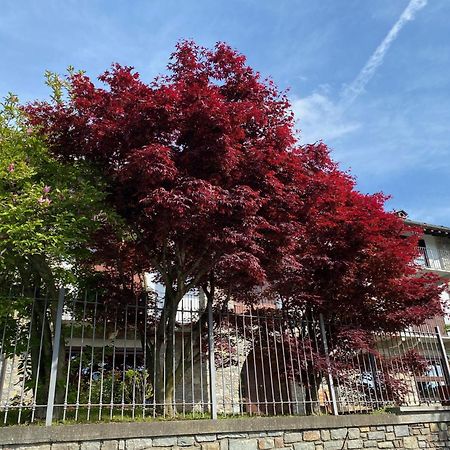 Villa La Casa Di Nina - Traves Pessinetto Exterior foto