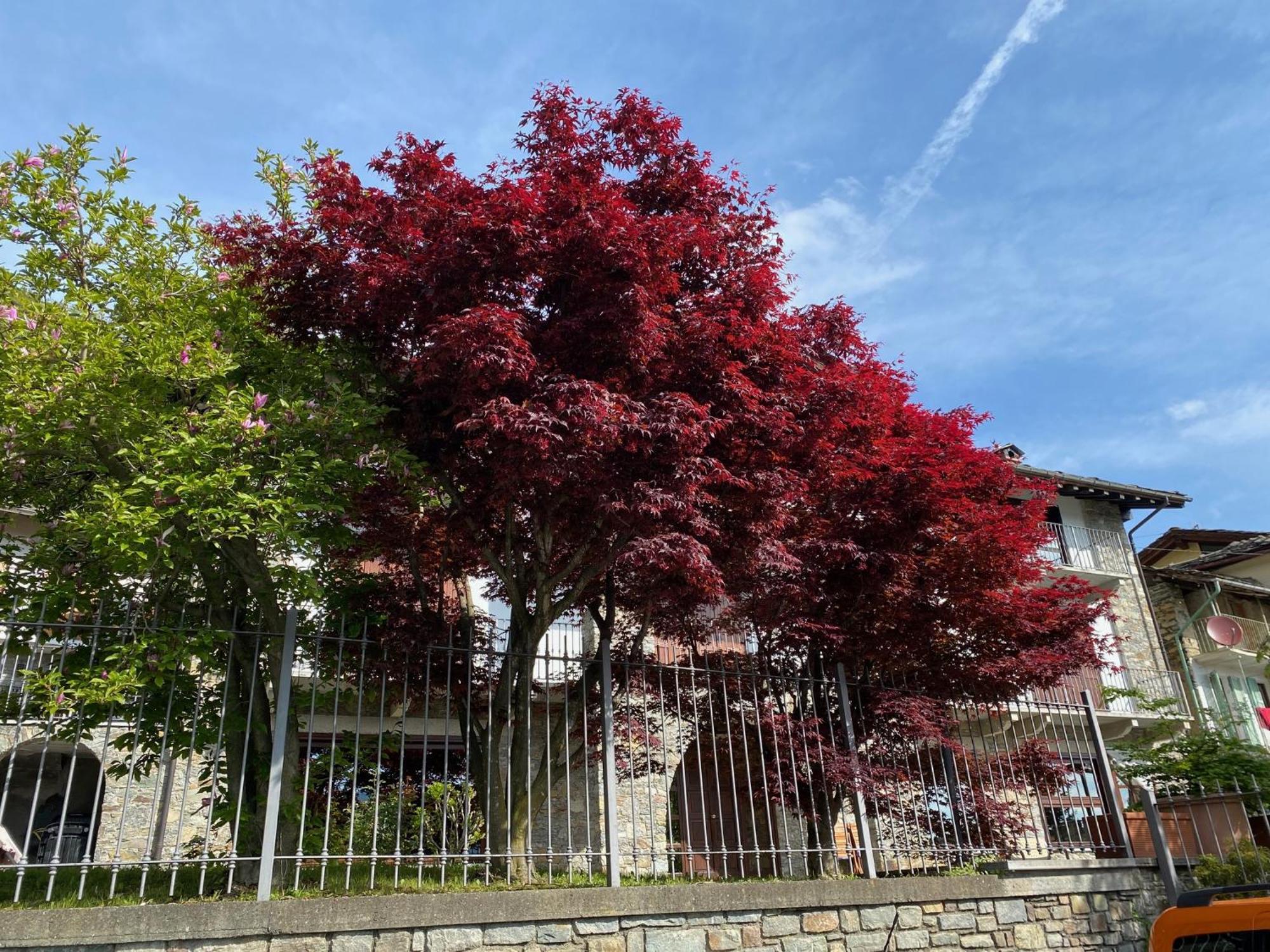 Villa La Casa Di Nina - Traves Pessinetto Exterior foto
